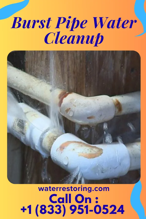 Burst Pipe Water Cleanup in Urbana, IL
