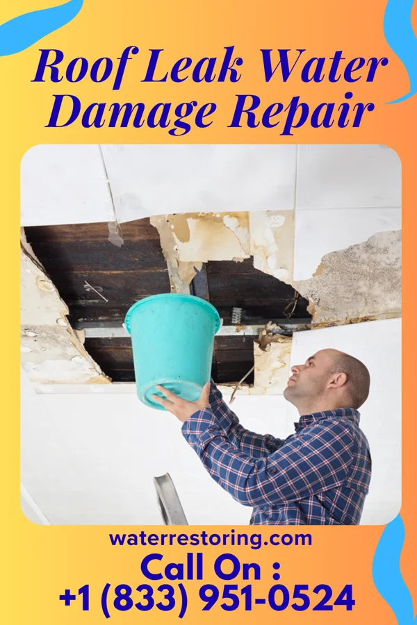 Roof Leak Water Damage Repair in Urbana, IL
